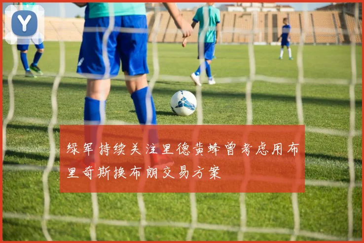 绿军持续关注里德黄蜂曾考虑用布里奇斯换布朗交易方案